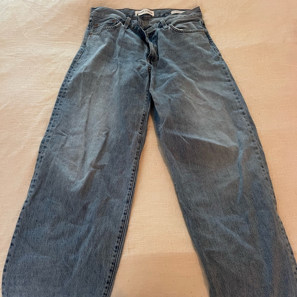 Aritzia Denim Forum 90s Danny Hi-Rise Baggy Jean
